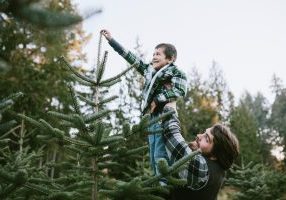 Christmas Trees in Vancouver - SavvyMom