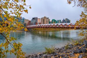 Things to Do on Thanksgiving Monday in Calgary - SavvyMom